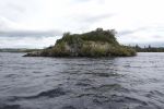PICTURES/Killarney National Park - Ross Castle & Lough Leane/t_DSC00115.JPG